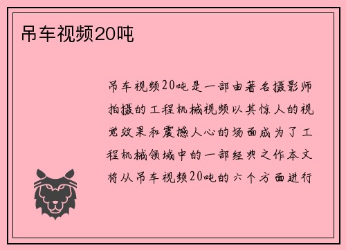 吊车视频20吨